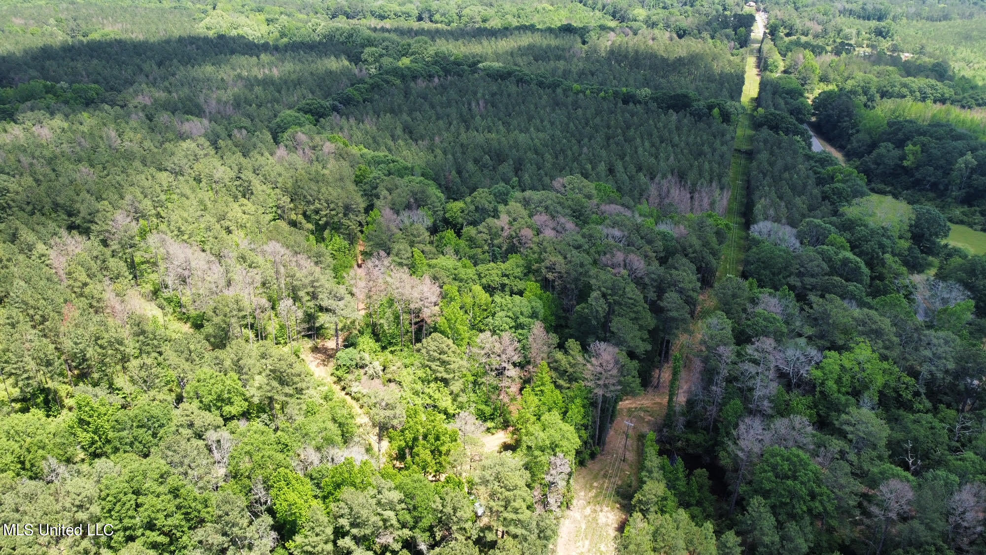 2 Mt Zion Road Magee, MS 39111 - Photo 28 of 35 56