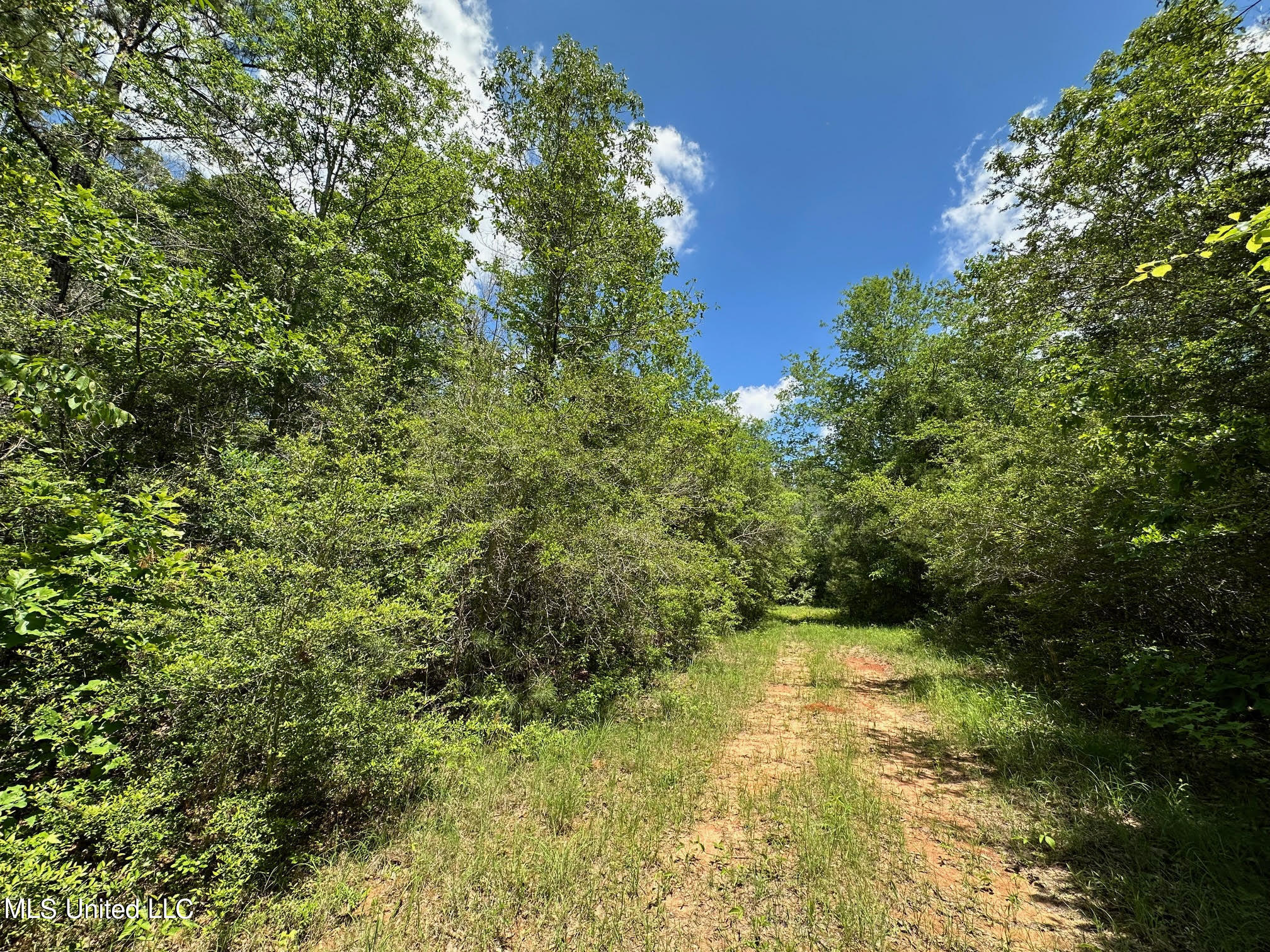 2 Mt Zion Road Magee, MS 39111 - Photo 6 of 35 9