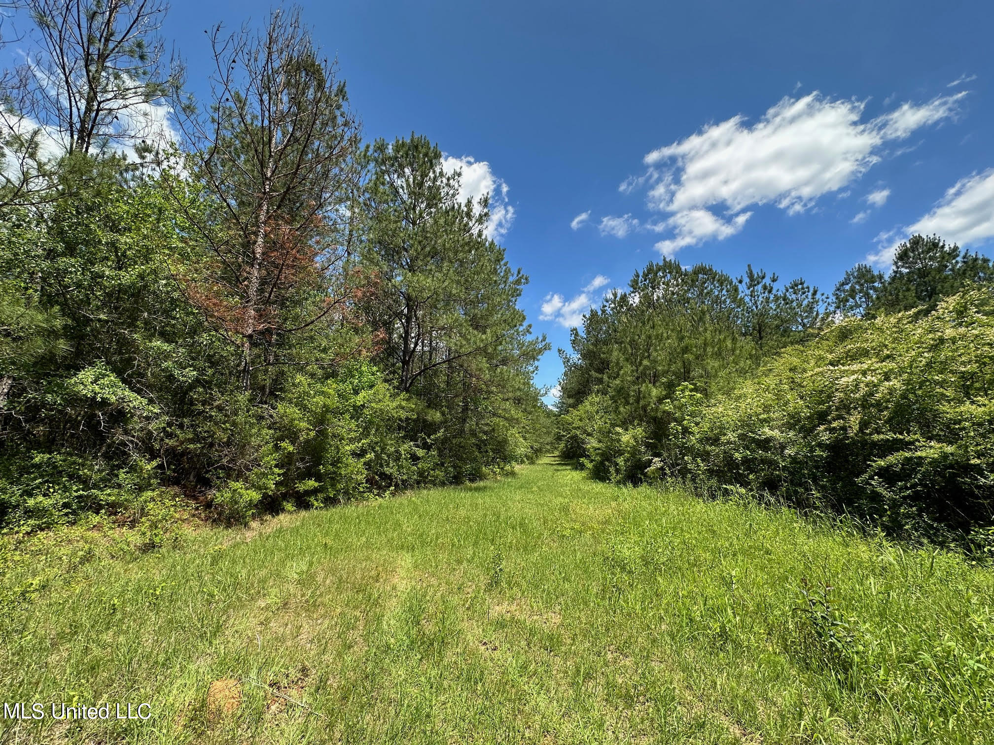 2 Mt Zion Road Magee, MS 39111 - Photo 9 of 35 13