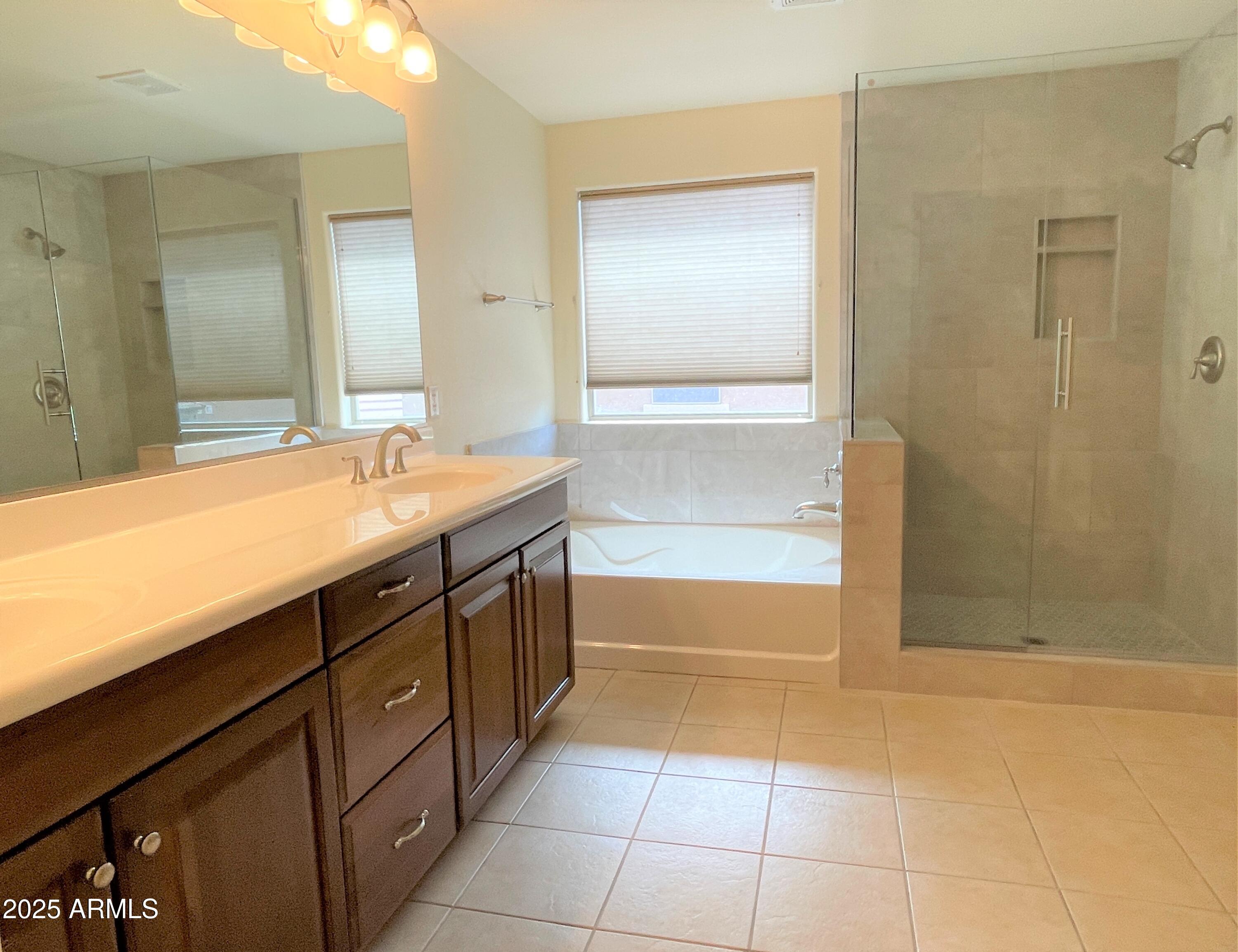 3663 East Sparrow Place Chandler, AZ 85286 - Photo 17 of 32 a bathroom with a tub sink and mirror