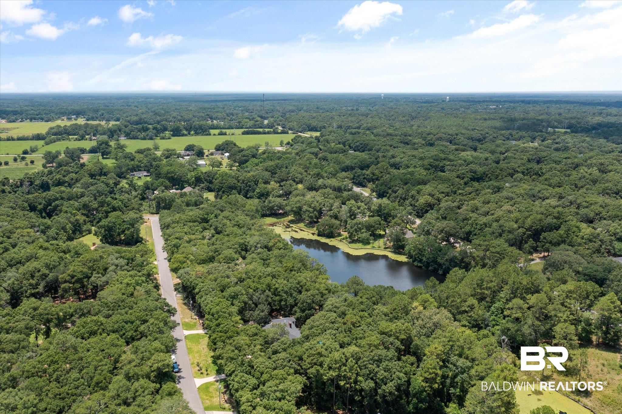 8250 Whisper Lakes Court Mobile, AL 36619 - Photo 42 of 50