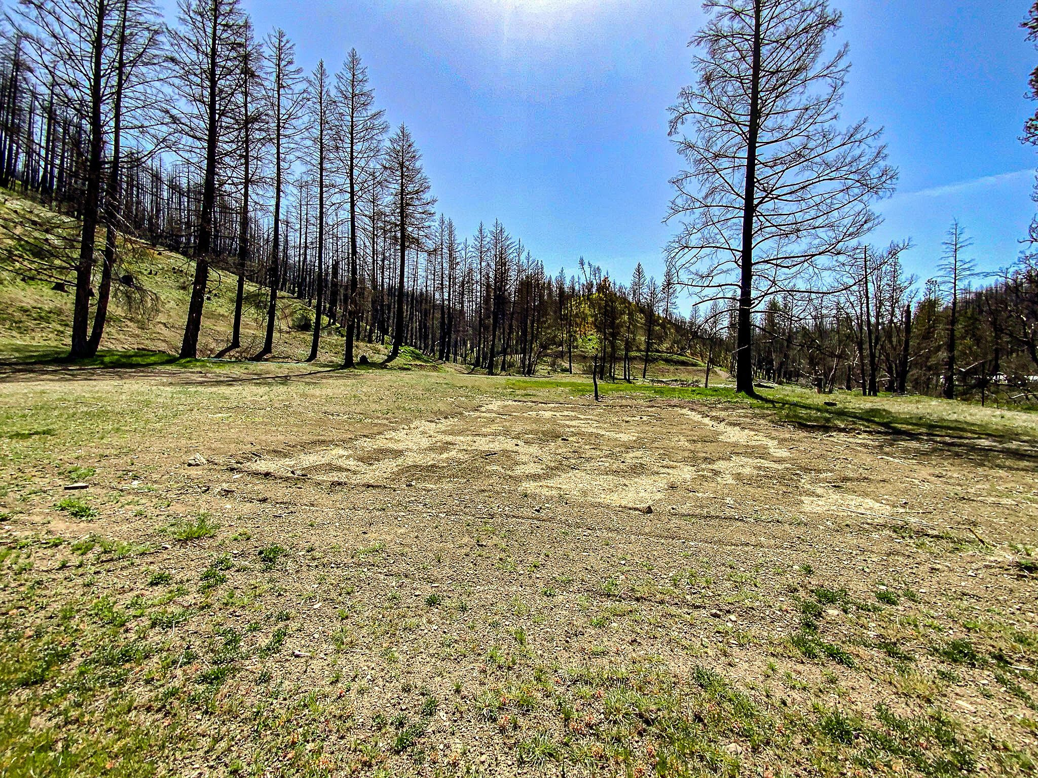 26670 Upper Mad River Road Mad River, CA 95552 - Photo 9 of 21 Old Home site