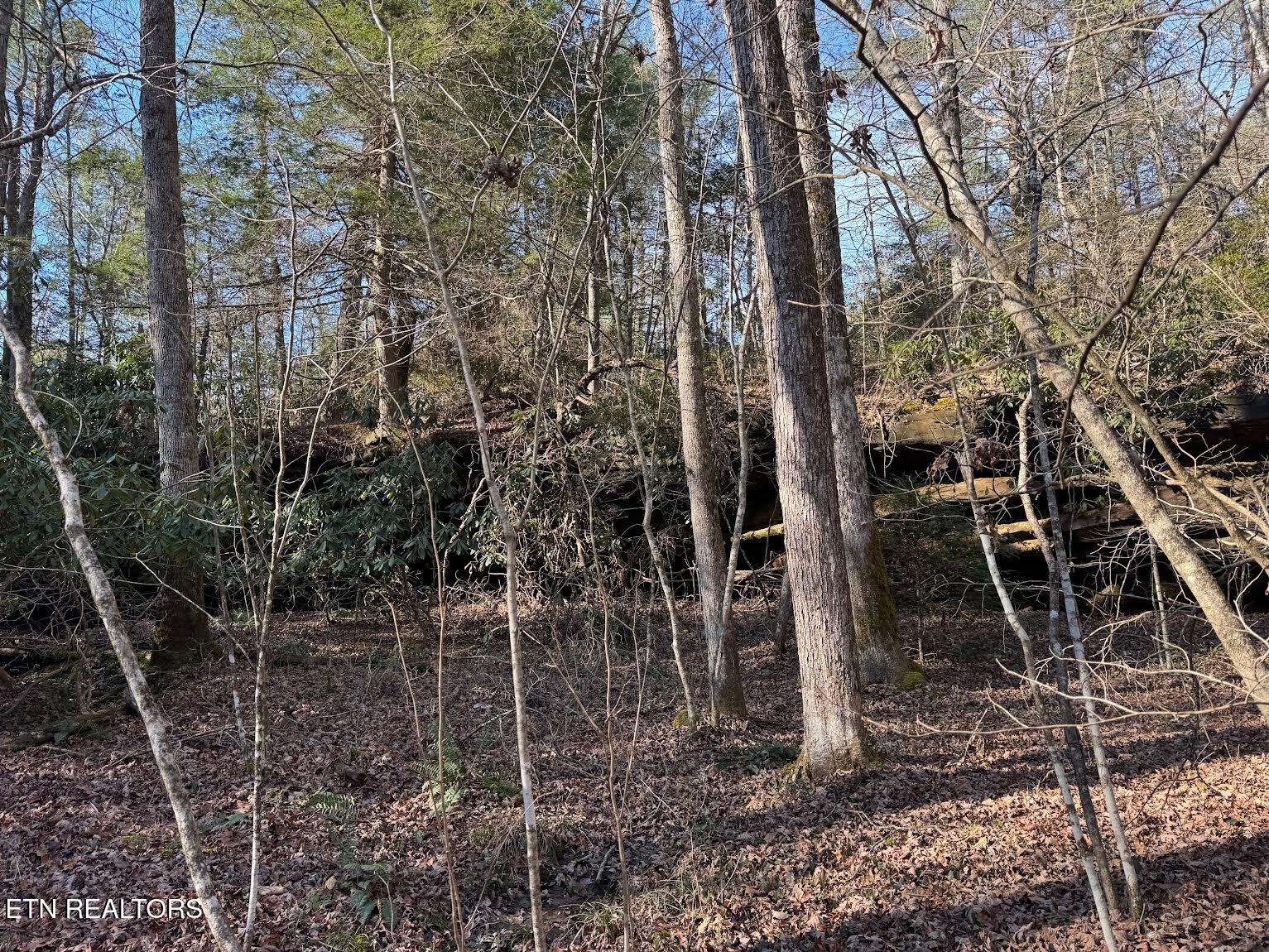 Mae Drive Jamestown, TN 38556 - Photo 11 of 11 0-4