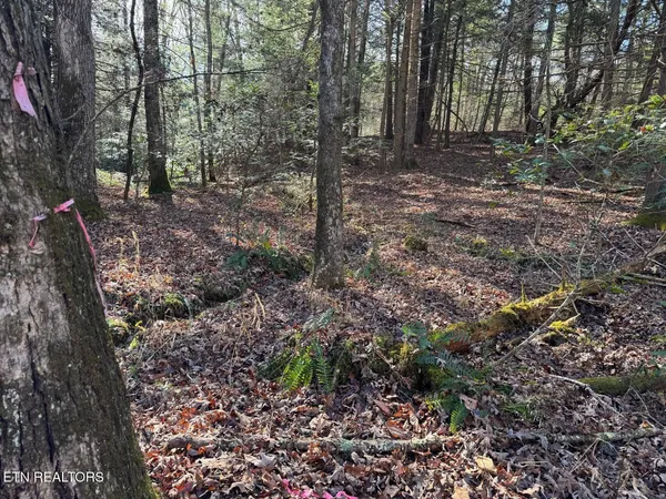 $100,000 | Mae Drive, Jamestown, TN 38556