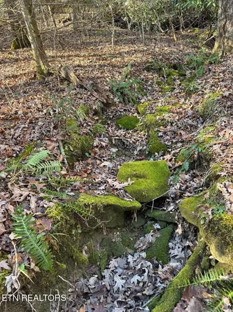 $100,000 | Mae Drive, Jamestown, TN 38556