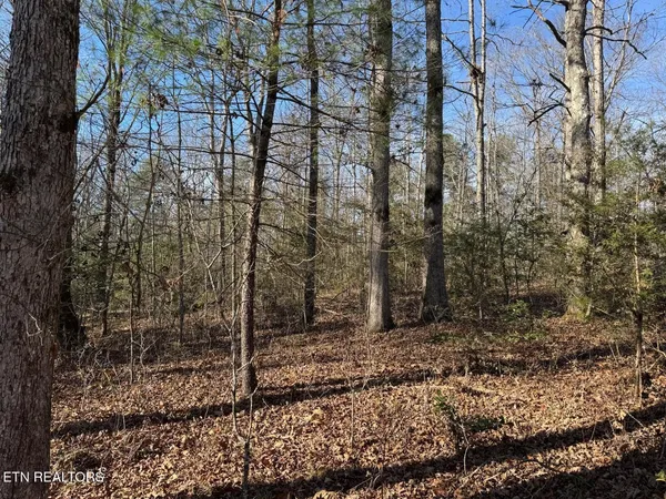 $100,000 | Mae Drive, Jamestown, TN 38556
