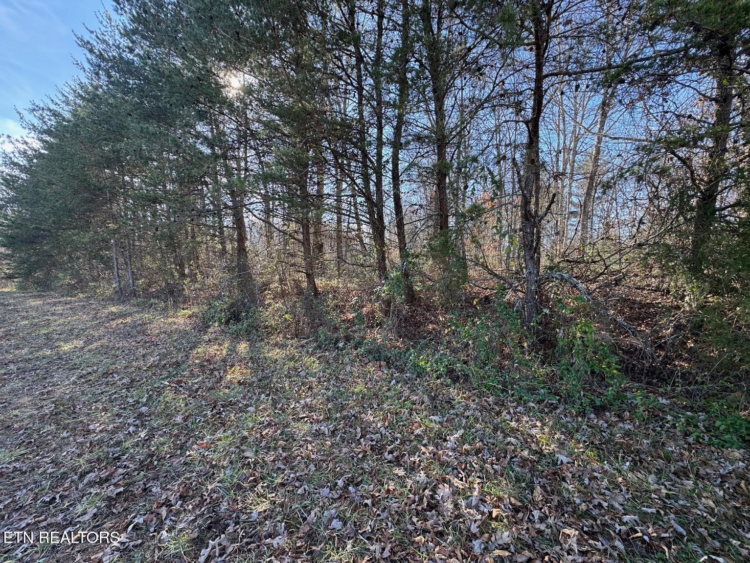 Mae Drive Jamestown, TN 38556 - Photo 7 of 11 0