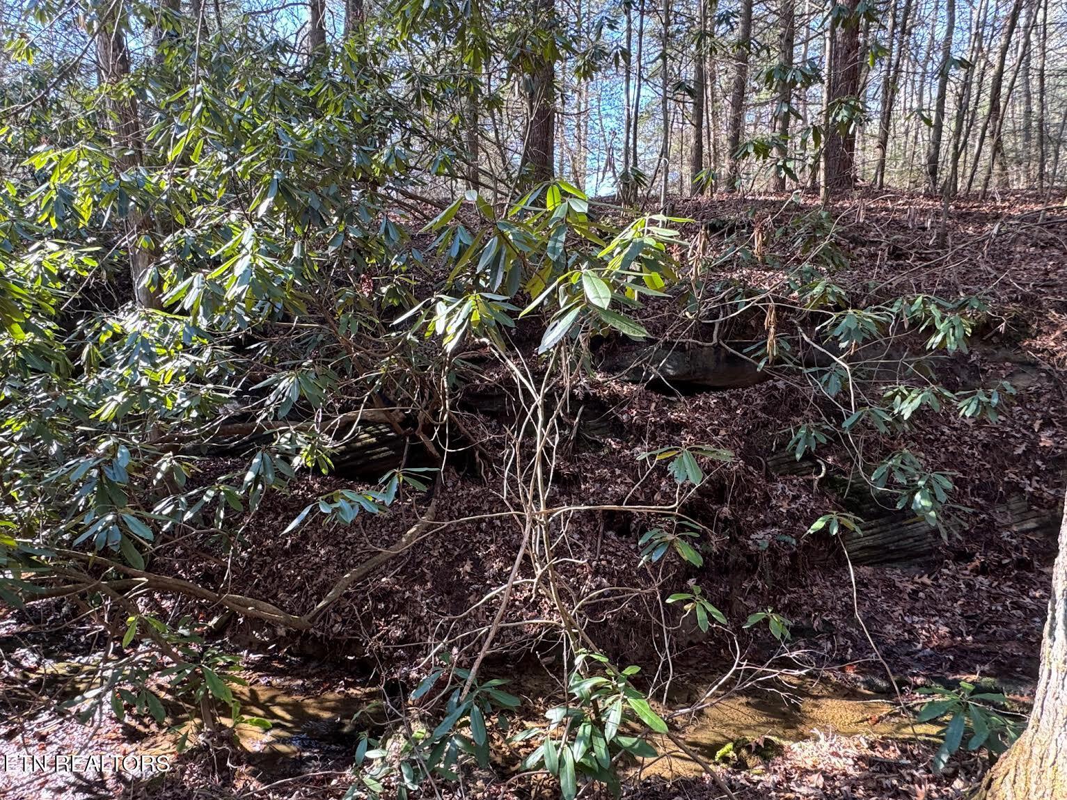 Mae Drive Jamestown, TN 38556 - Photo 9 of 11 0-2