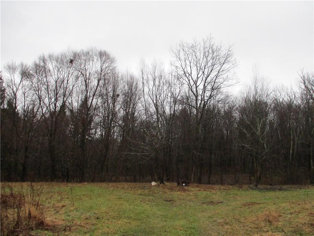 0 Greenville Road Salisbury, PA 15558 - Photo 14 of 15 Gallery Image 14