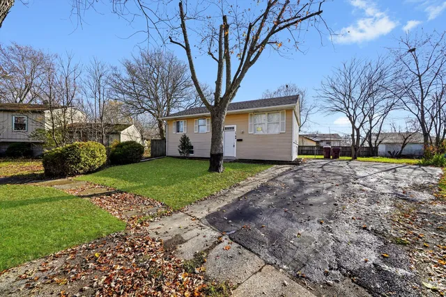 a view of a yard with a large tree in front of a house