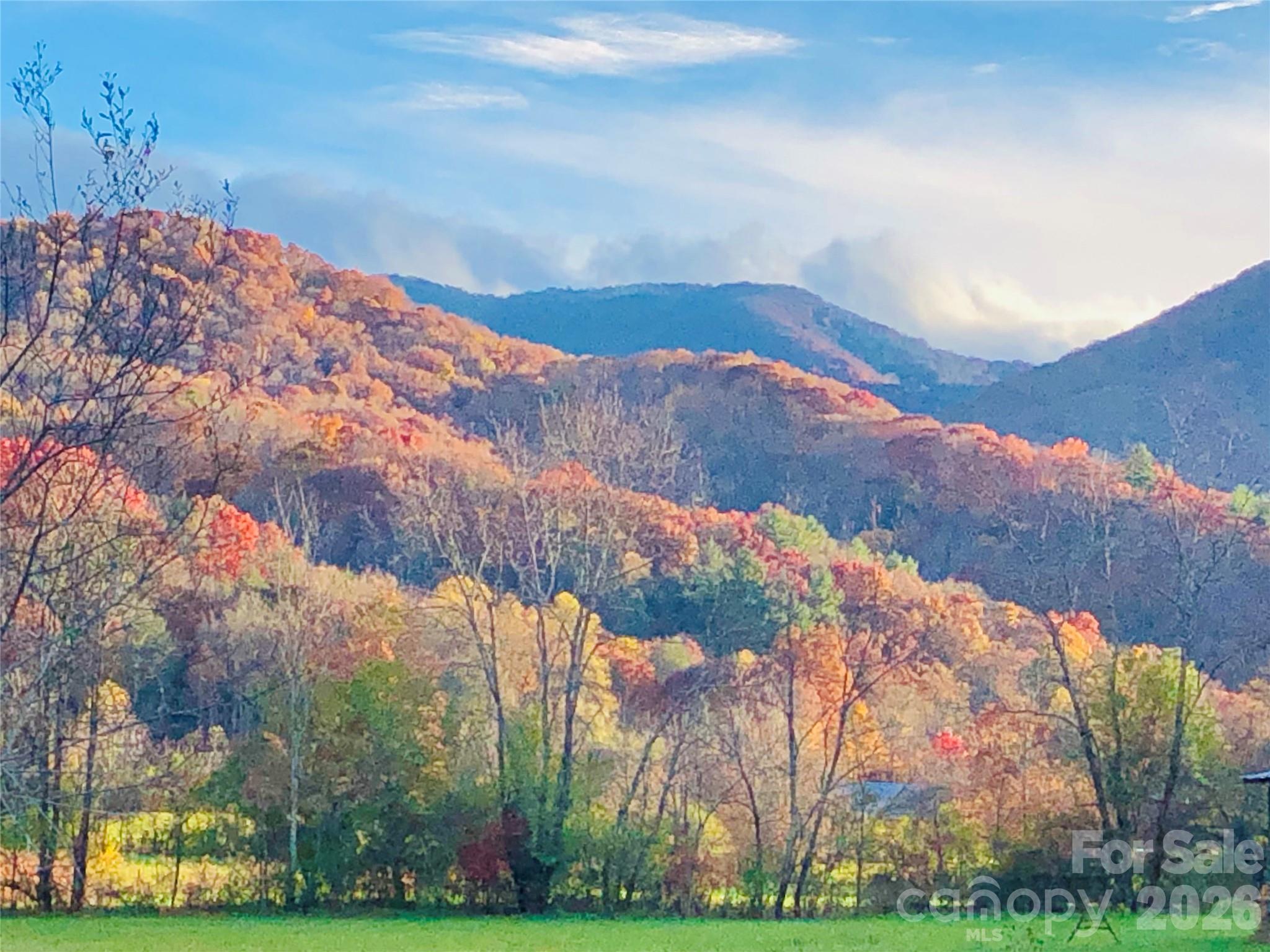 3 Taproot Trail Barnardsville, NC 28709 - Photo 17 of 29
