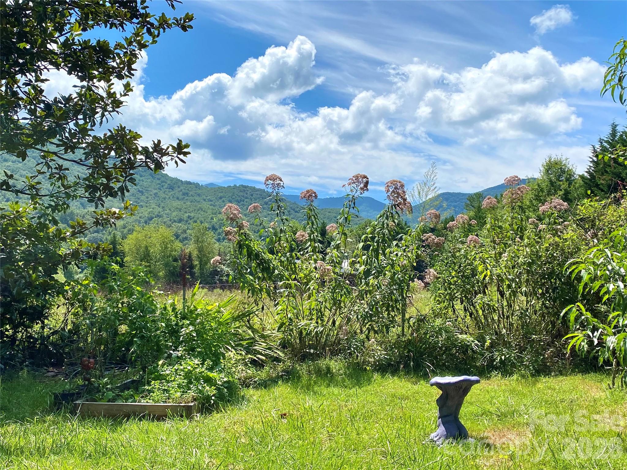 3 Taproot Trail Barnardsville, NC 28709 - Photo 20 of 48 a backyard of a house with lots of green space