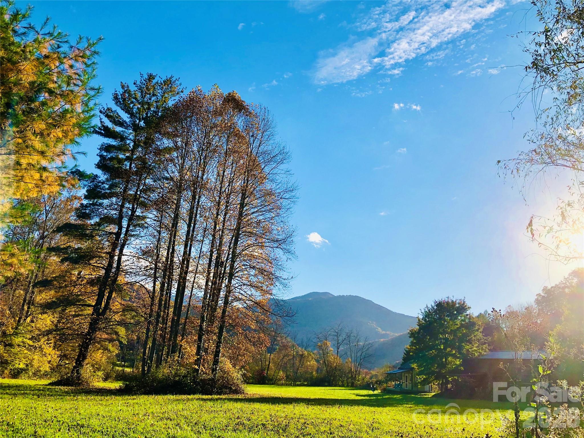 3 Taproot Trail Barnardsville, NC 28709 - Photo 25 of 29
