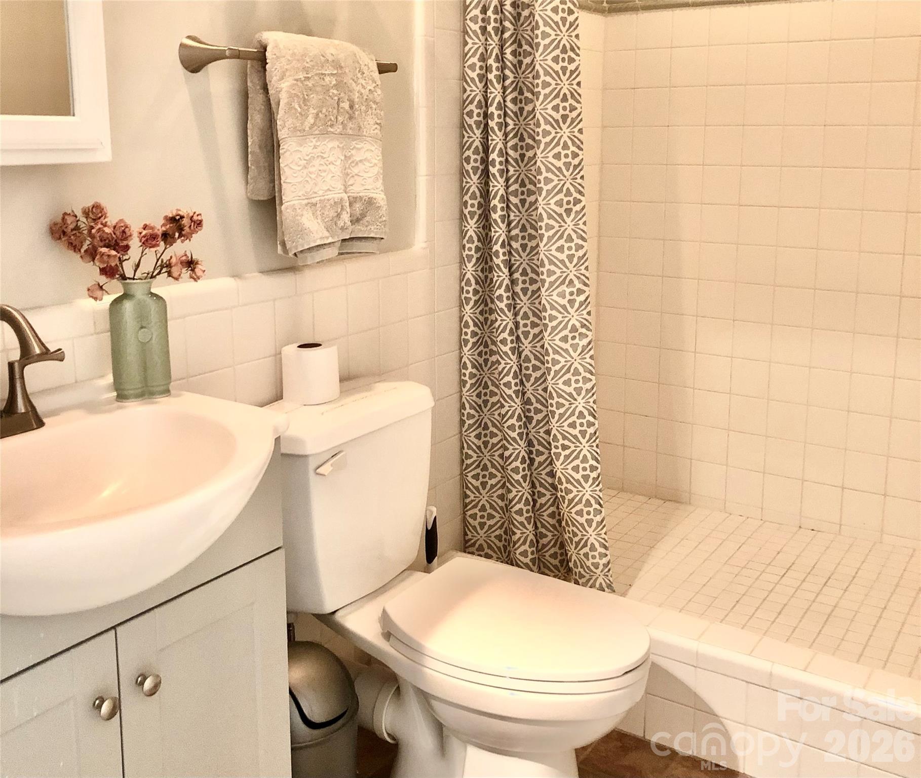 3 Taproot Trail Barnardsville, NC 28709 - Photo 26 of 48 a bathroom with a sink a toilet and shower curtain