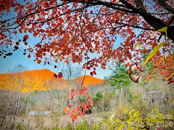 $737,000 | 3 Taproot Trail, Barnardsville, NC 28709