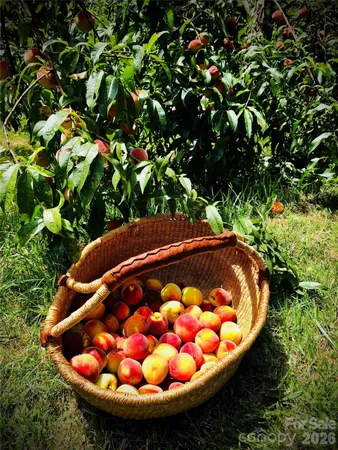 $737,000 | 3 Taproot Trail, Barnardsville, NC 28709