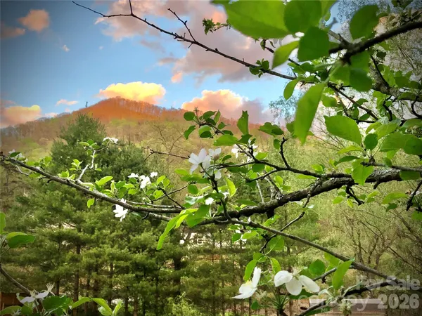 $737,000 | 3 Taproot Trail, Barnardsville, NC 28709