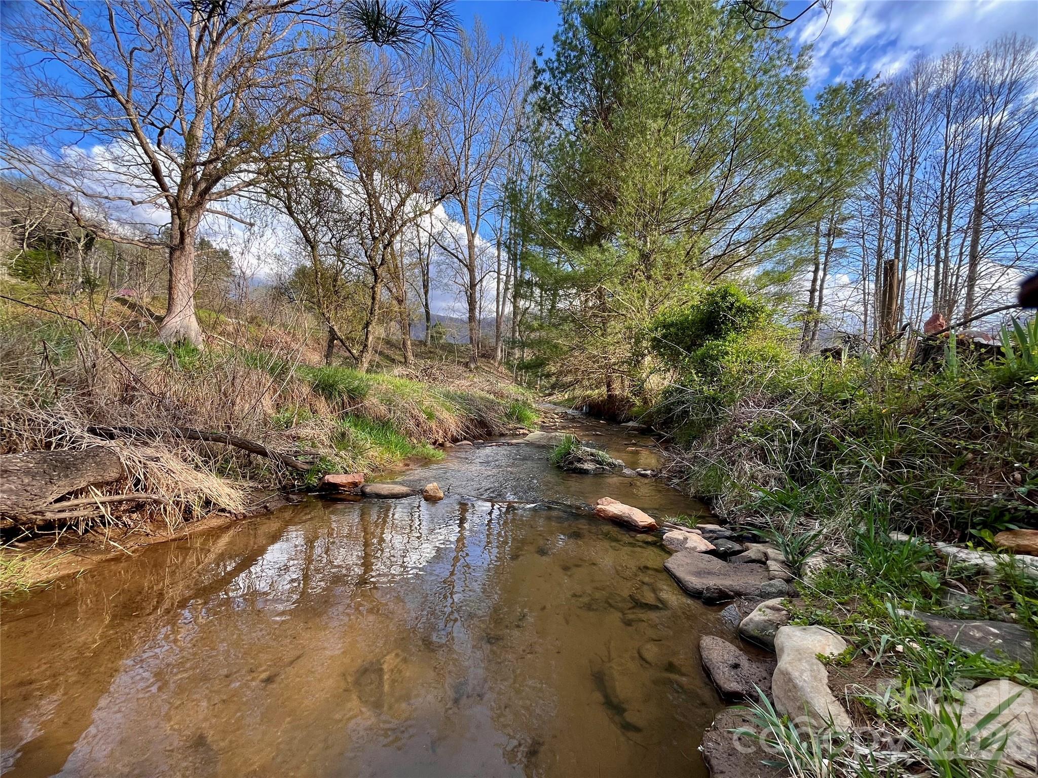 3 Taproot Trail Barnardsville, NC 28709 - Photo 7 of 48 a backyard of a house with lots of green space