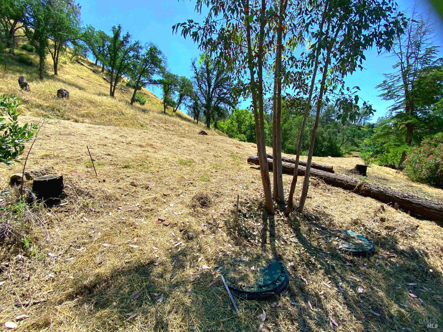 3786 Putah Creek Road Winters, CA 95694 - Photo 13 of 34