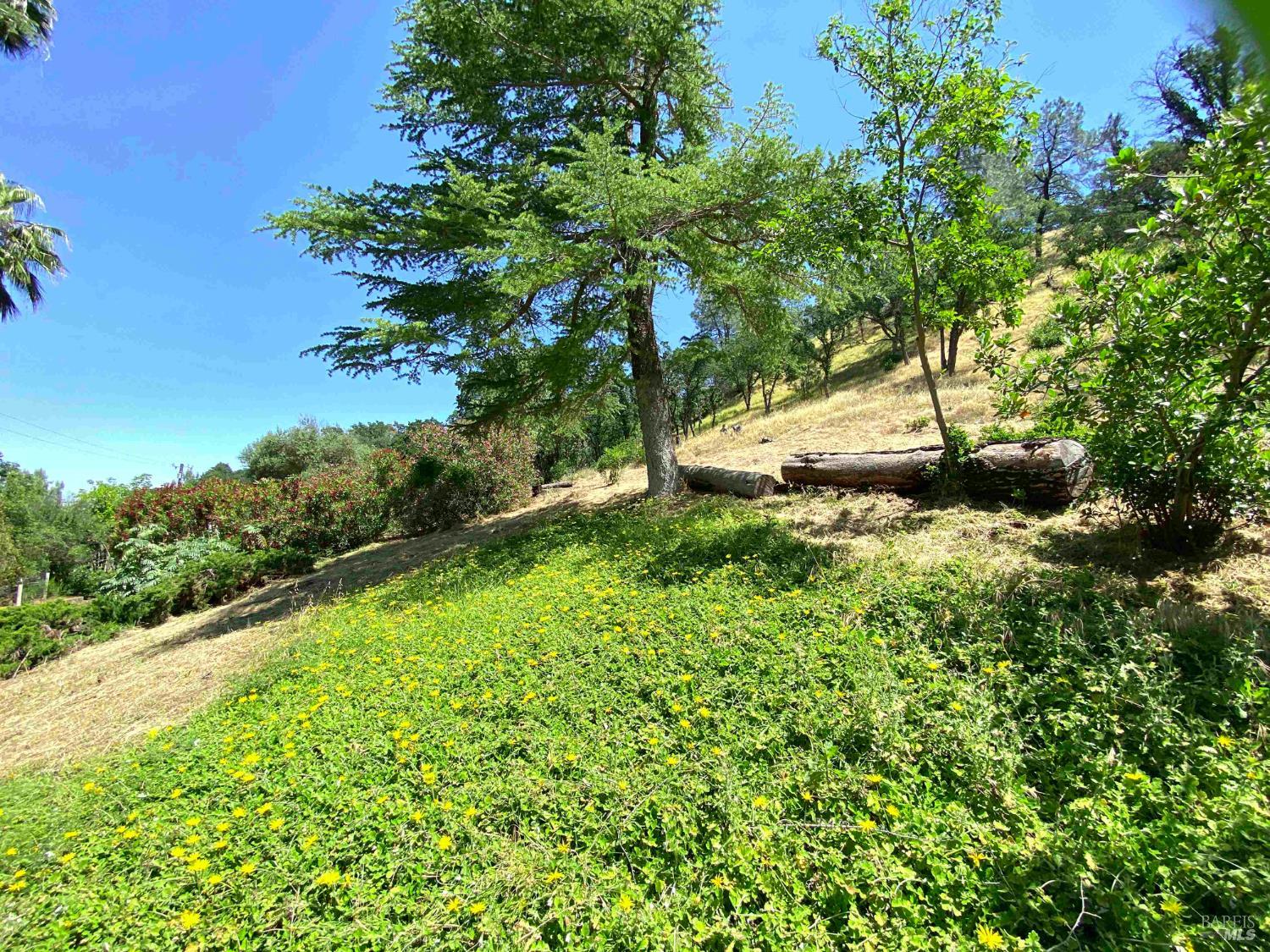 3786 Putah Creek Road Winters, CA 95694 - Photo 14 of 34