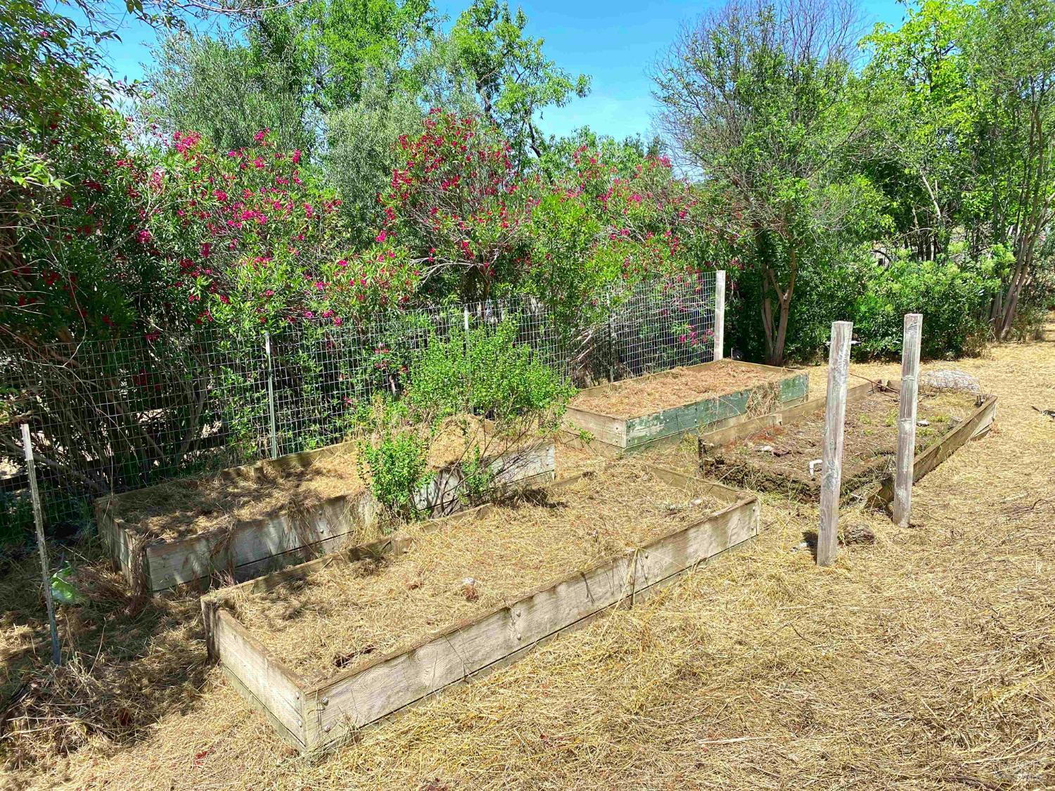 3786 Putah Creek Road Winters, CA 95694 - Photo 15 of 34