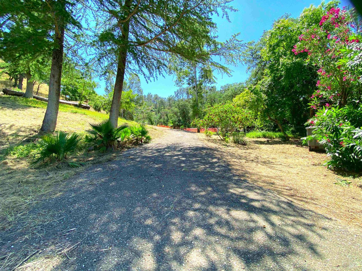 3786 Putah Creek Road Winters, CA 95694 - Photo 5 of 34