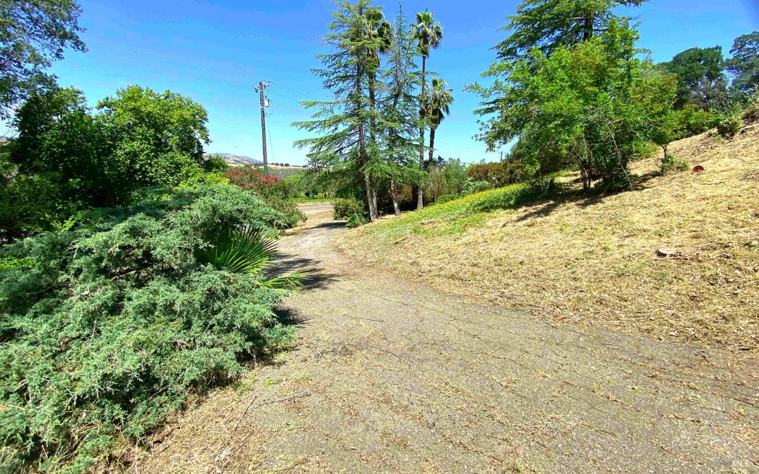 3786 Putah Creek Road Winters, CA 95694 - Photo 6 of 34