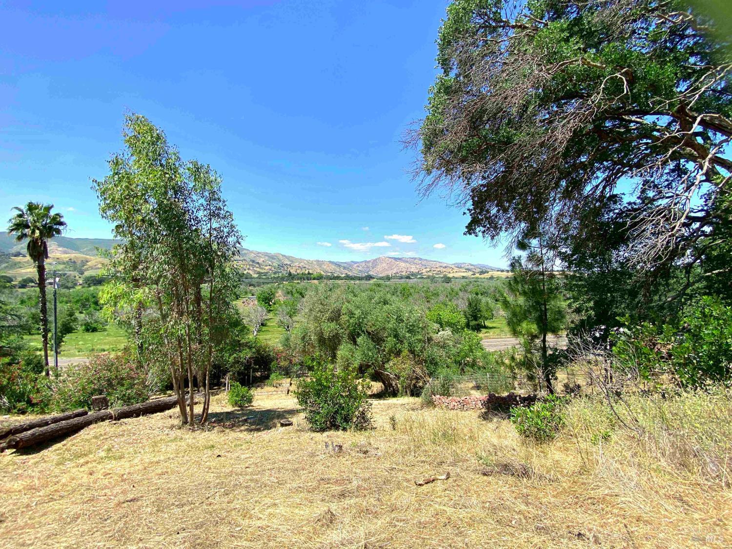 3786 Putah Creek Road Winters, CA 95694 - Photo 10 of 34