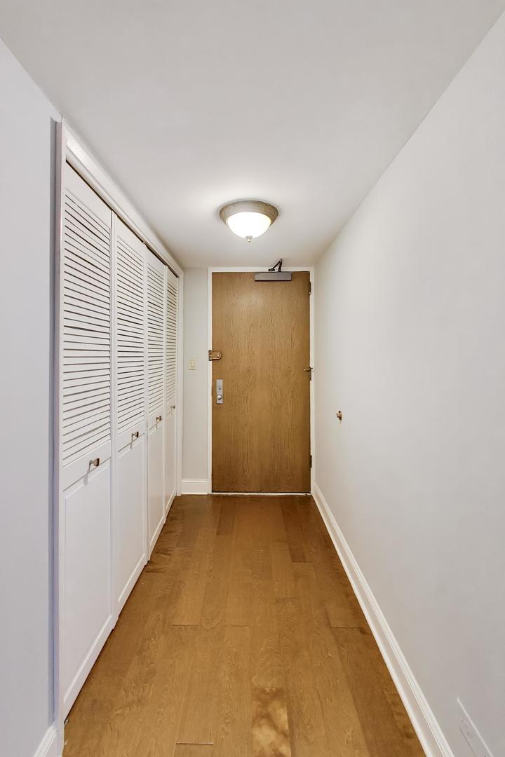 201 East Chestnut Street, Unit 14A Chicago, IL 60611 - Photo 2 of 29