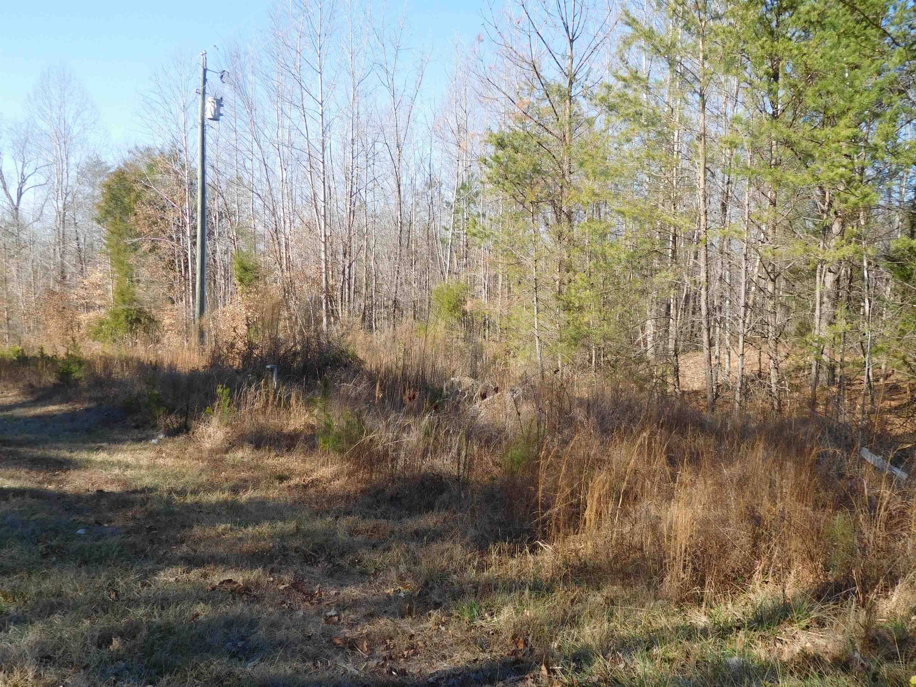 Tbd Tbd Leadmine Road Columbia, SC 29209 - Photo 2 of 4