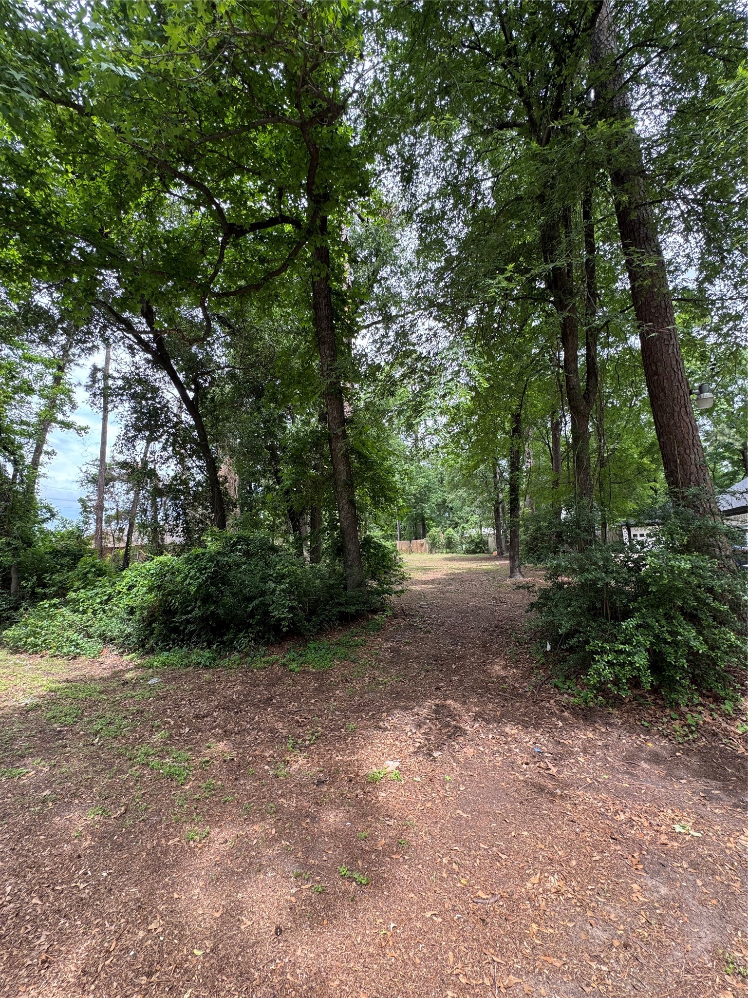0 Sagewood Drive Spring, TX 77386 - Photo 7 of 8 a view of a forest with trees in the background