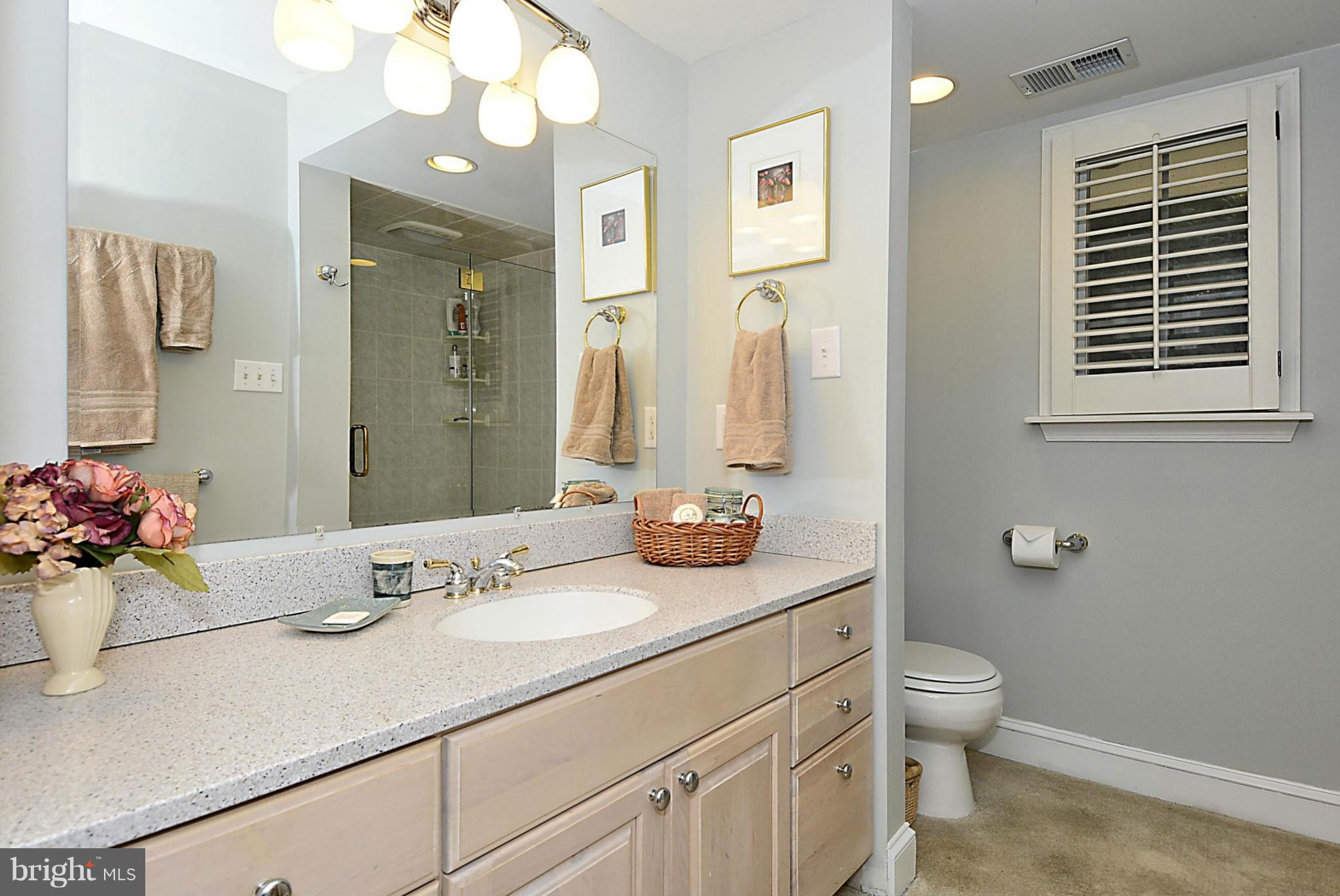 7913 Fairfax Road Alexandria, VA 22308 - Photo 17 of 29 Bath (Master)