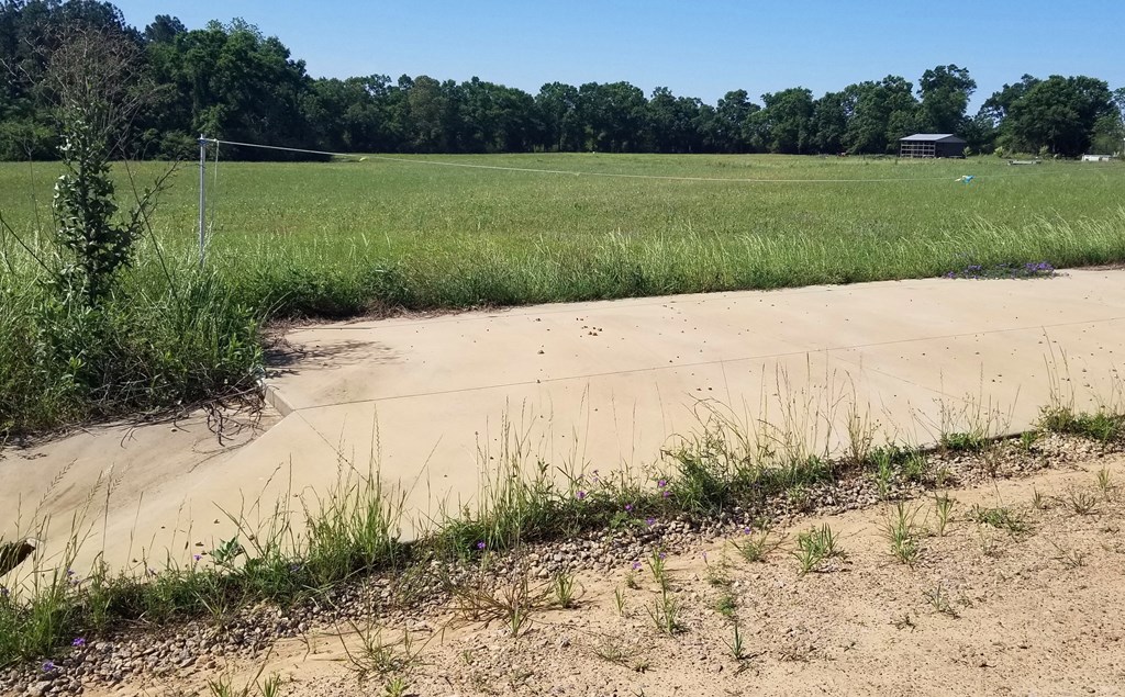 7-acres Hardy Road Dothan, AL 36301 - Photo 8 of 8