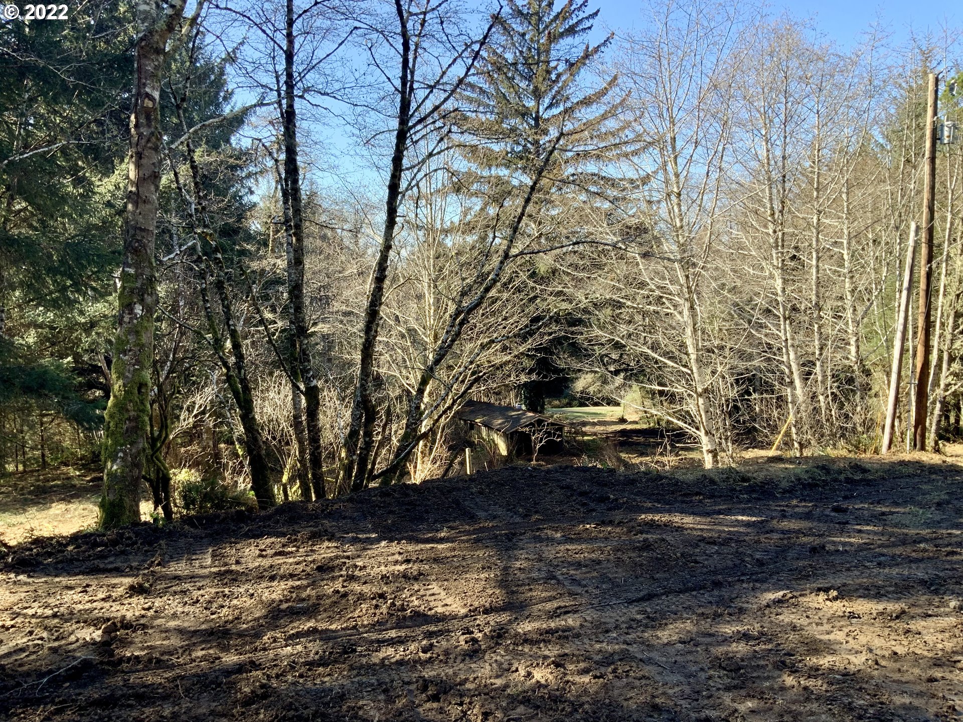 Mcdonald Road Brookings, OR 97415 - Photo 19 of 23 a view of a yard with trees