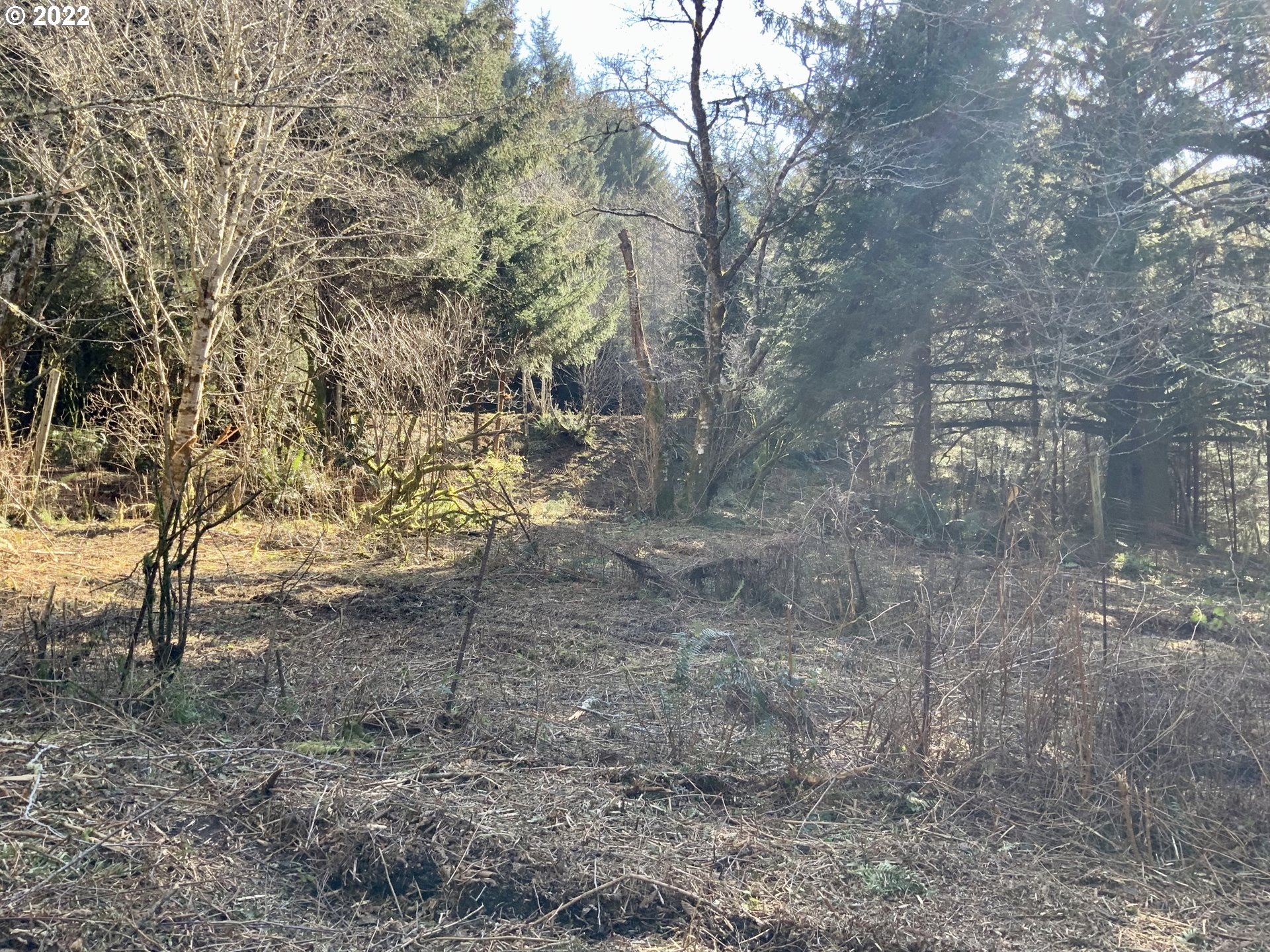 Mcdonald Road Brookings, OR 97415 - Photo 20 of 23 a view of a yard with trees