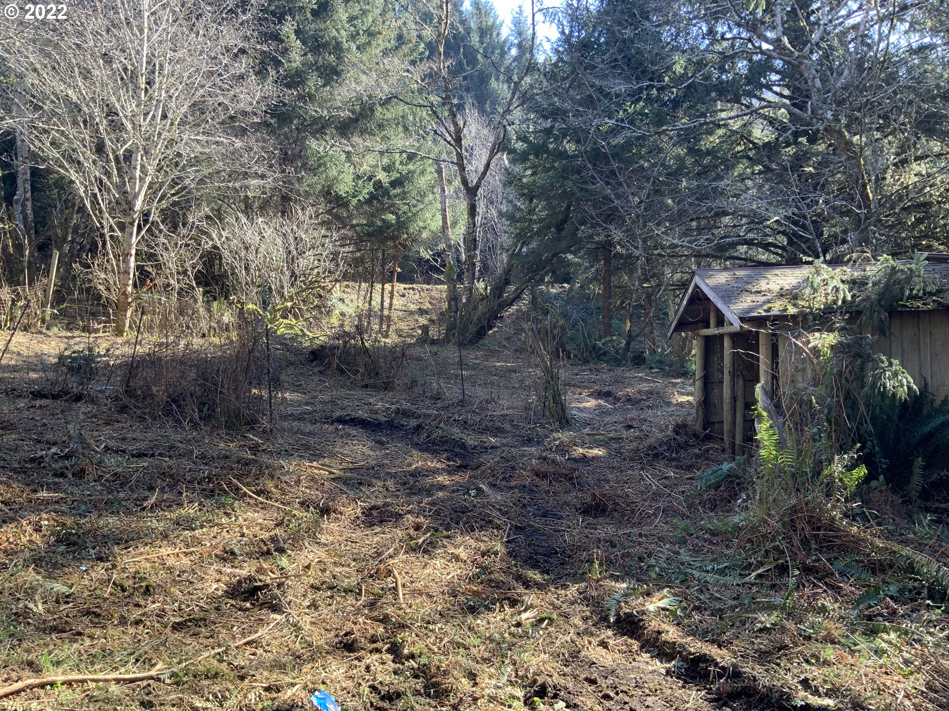 Mcdonald Road Brookings, OR 97415 - Photo 3 of 23 a view of backyard with green space