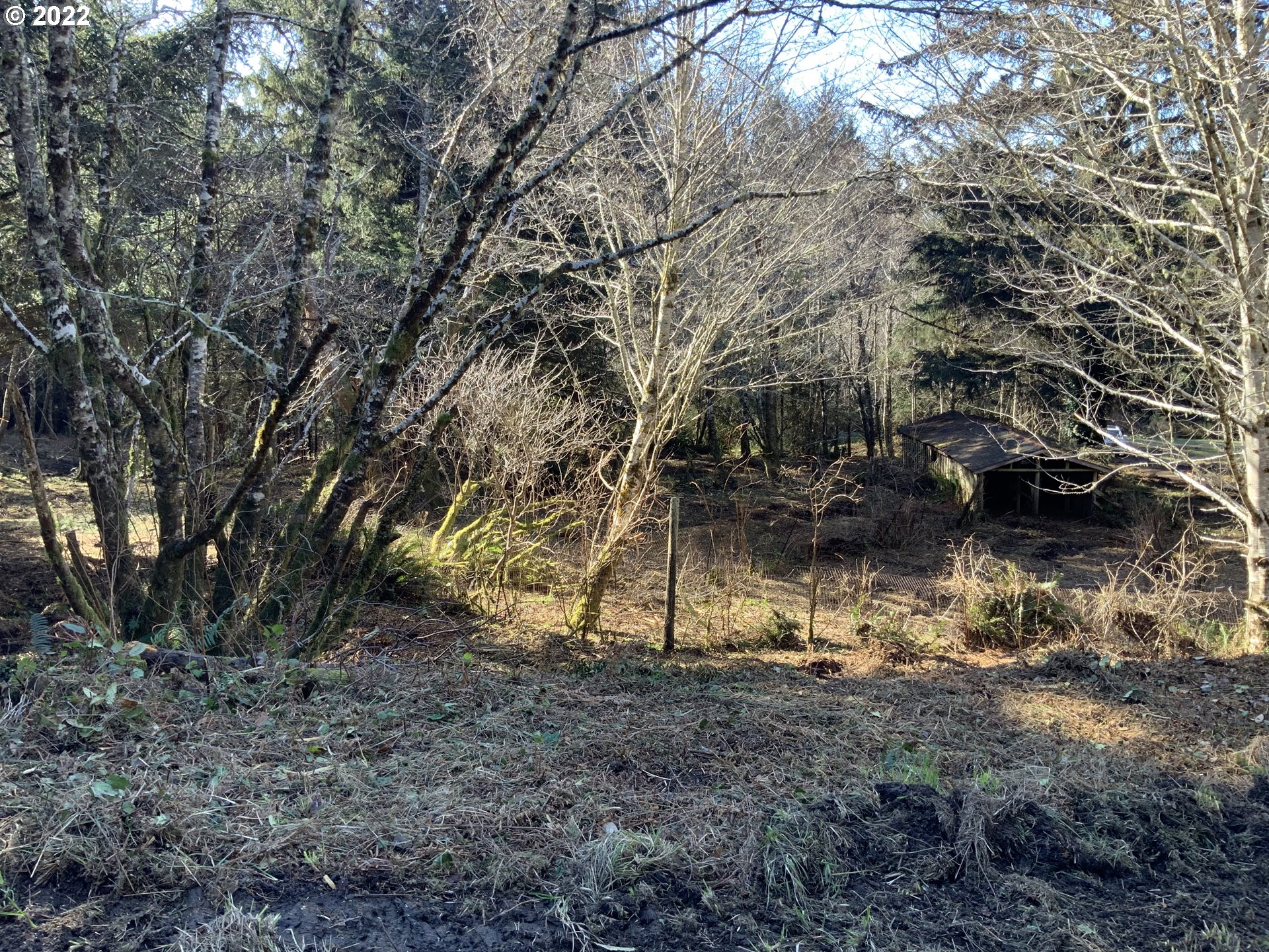 Mcdonald Road Brookings, OR 97415 - Photo 4 of 23