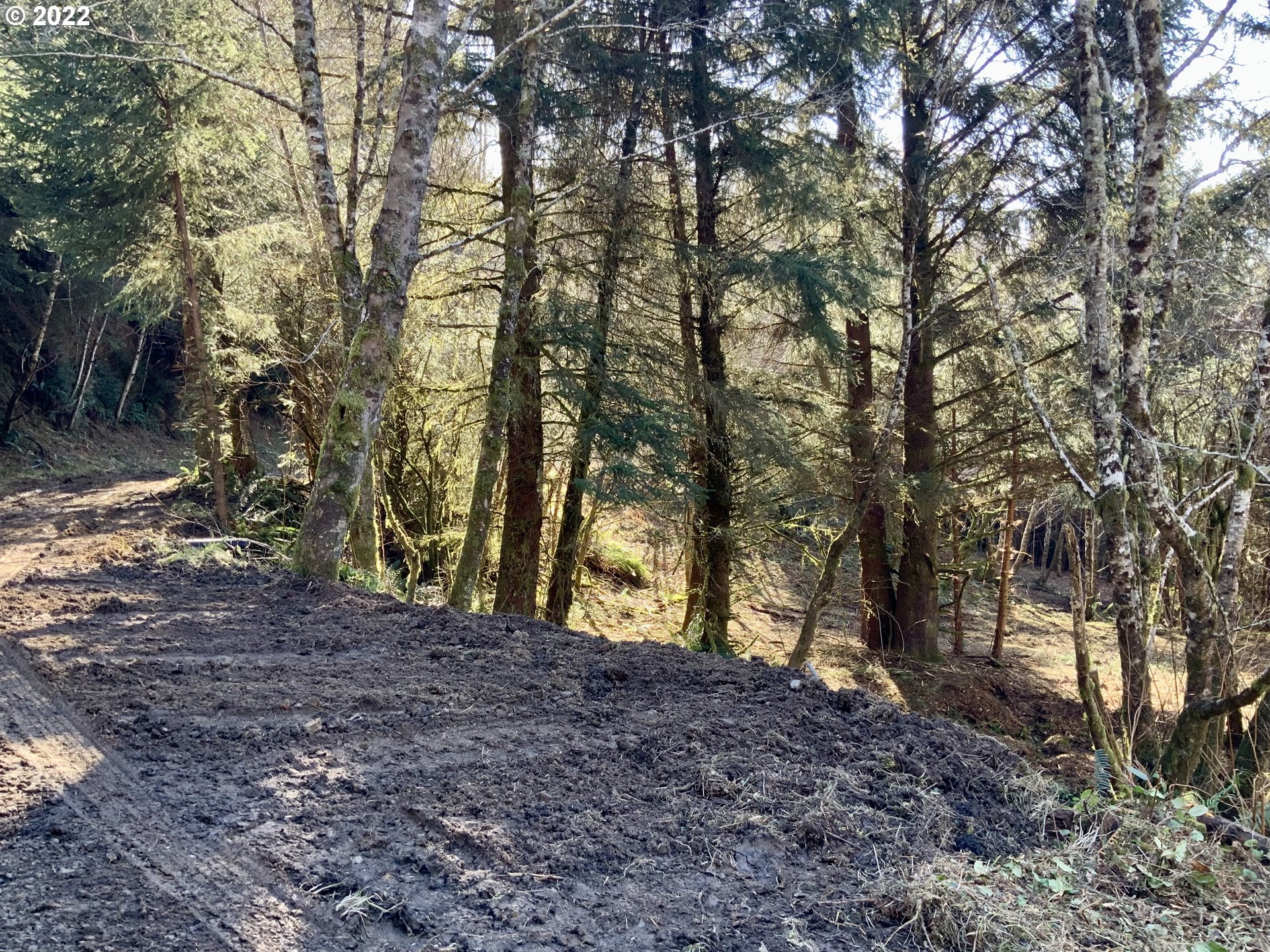 Mcdonald Road Brookings, OR 97415 - Photo 5 of 23 a view of outdoor space and trees