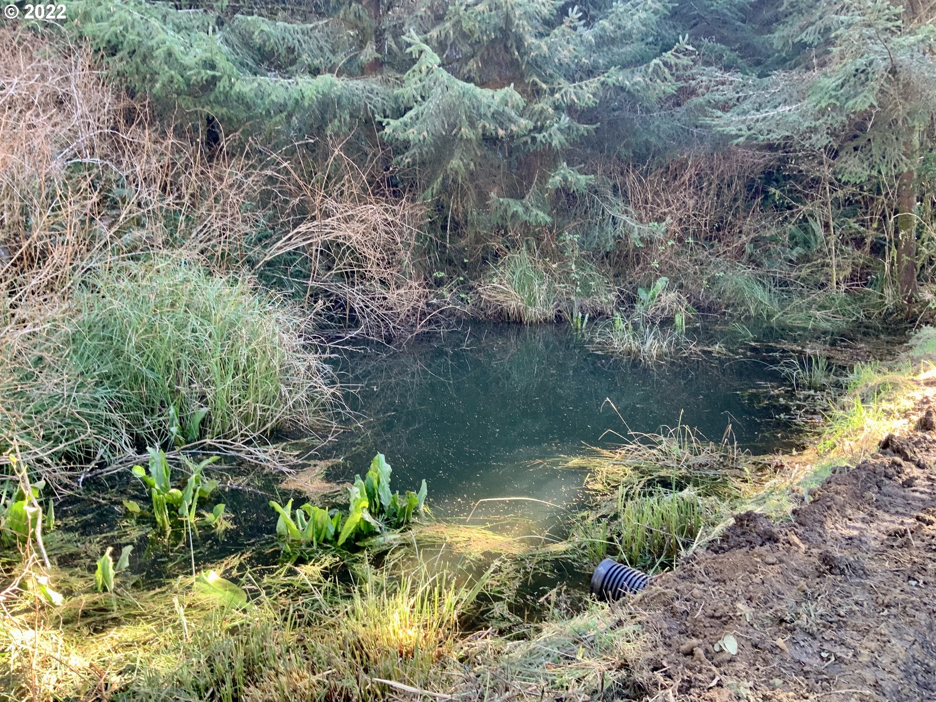 Mcdonald Road Brookings, OR 97415 - Photo 6 of 23 a view of a lake with a forest