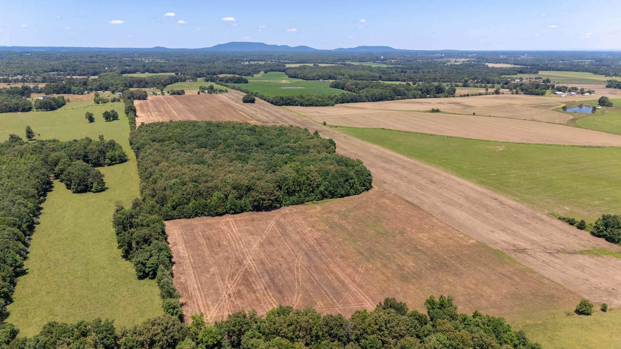0 Brown Road Woodbury, TN 37190 - Photo 15 of 34