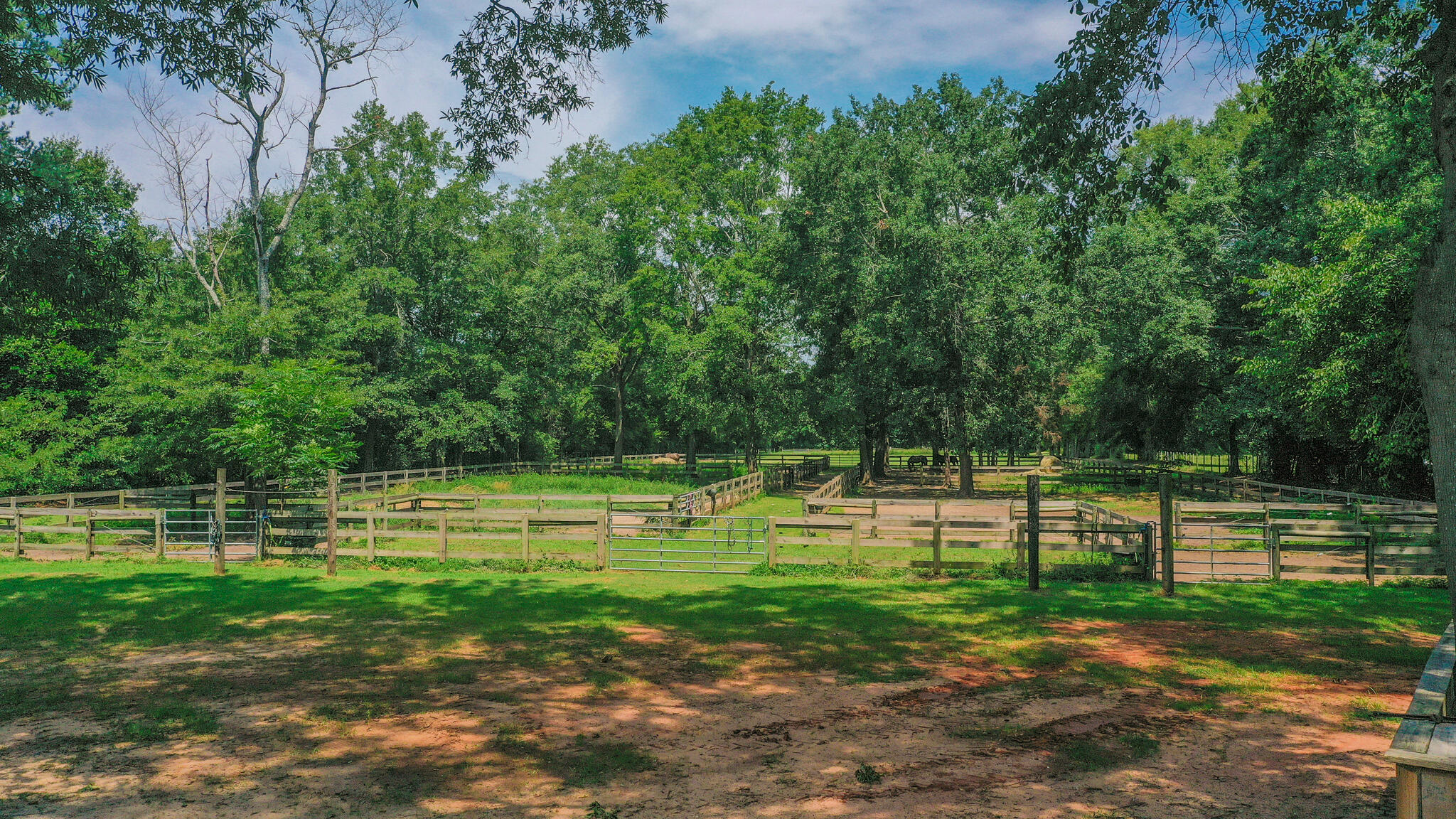 1002 West Main Street Ridge Spring, SC 29129 - Photo 18 of 24