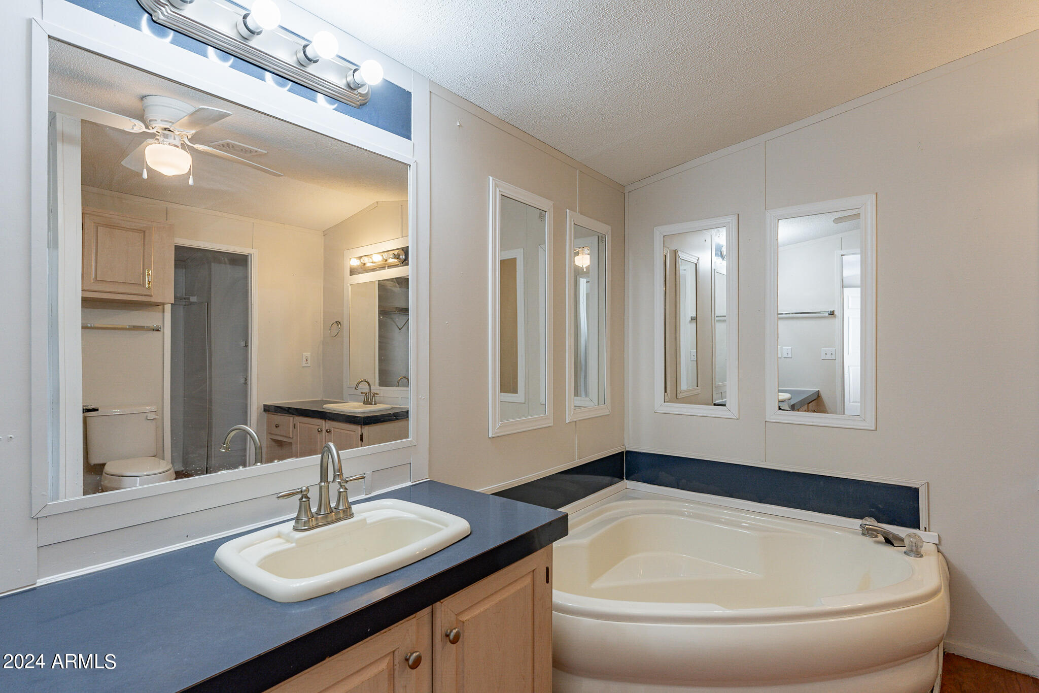 54084 West Badger Road Maricopa, AZ 85139 - Photo 19 of 46 19-web-or-mls-Badger-19