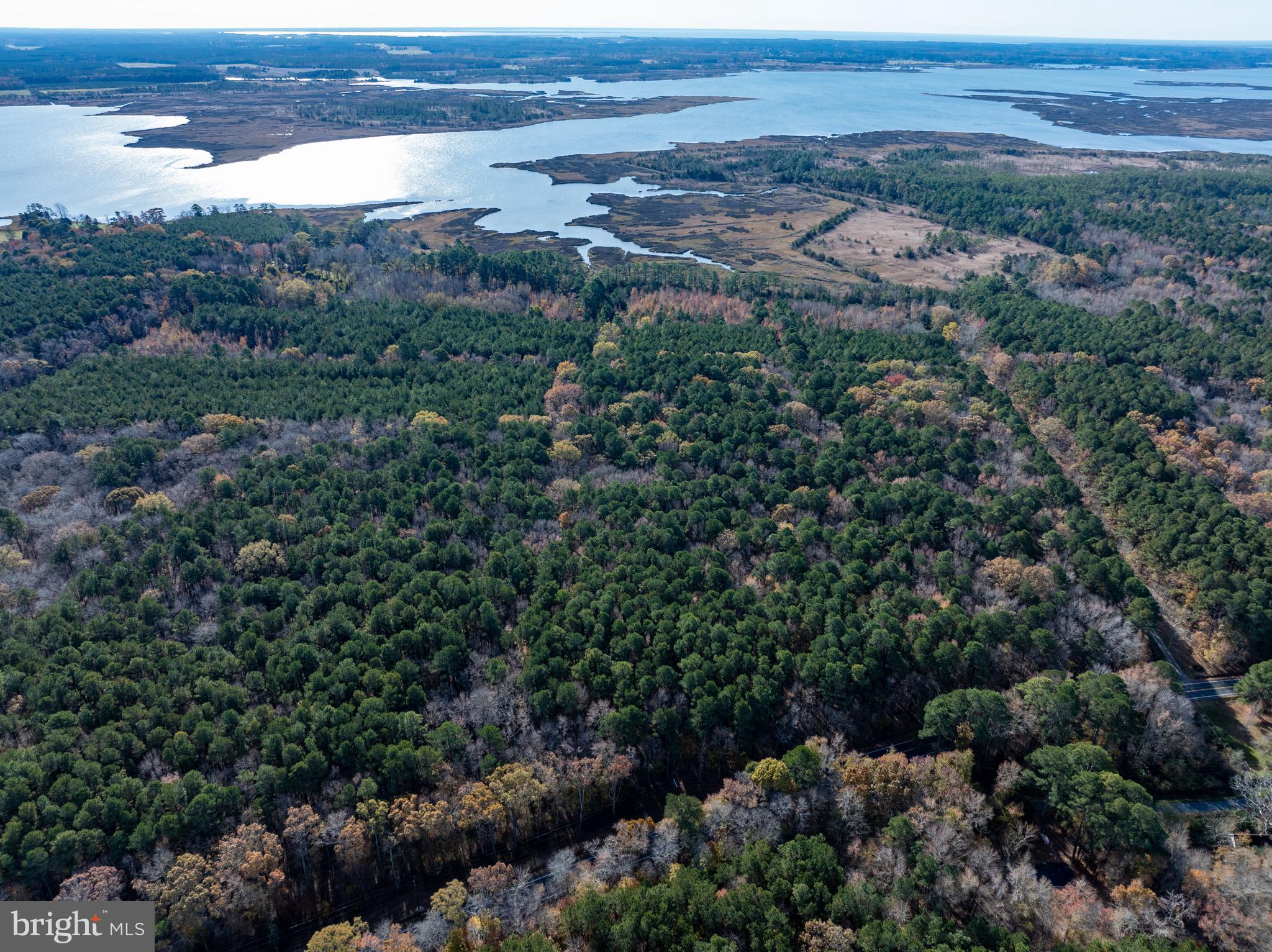 27947 Fairmount Road Westover, MD 21871 - Photo 10 of 122