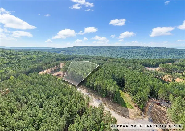 a view of a lake in middle of the forest