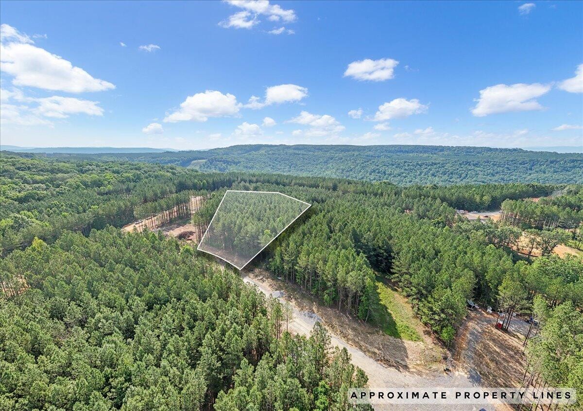 a view of a lake in middle of the forest