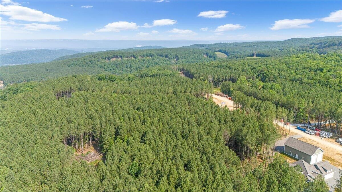 0 Serenity Way Guild, TN 37340 - Photo 12 of 16 a view of a city with lush green forest