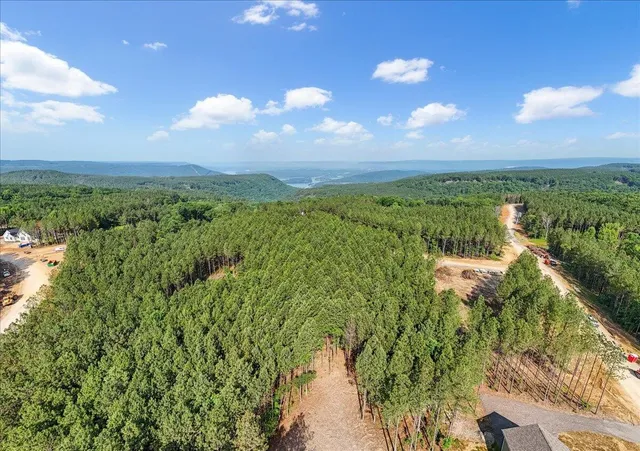 a view of a city with lush green forest