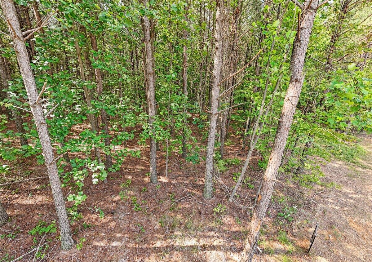 0 Serenity Way Guild, TN 37340 - Photo 5 of 16 a view of an outdoor space with a tree