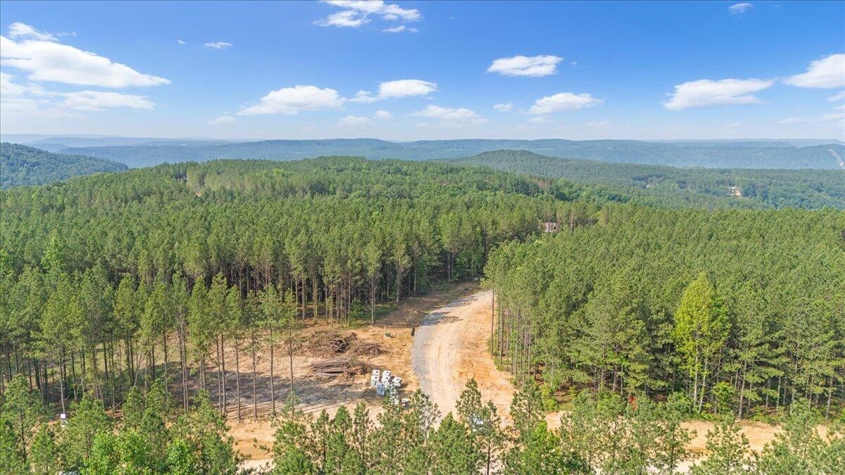 0 Serenity Way Guild, TN 37340 - Photo 8 of 16 a view of lake with green space