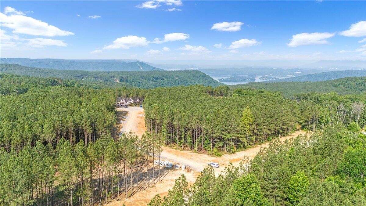 0 Serenity Way Guild, TN 37340 - Photo 9 of 16 a view of lake with mountain